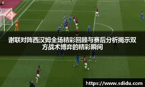 谢联对阵西汉姆全场精彩回顾与赛后分析揭示双方战术博弈的精彩瞬间